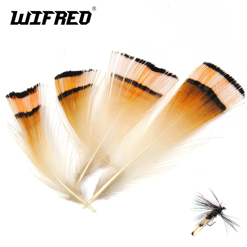 Bộ 50 Tự Nhiên Màu Vàng Gà Lôi - đánh giá và giá Fishing Equipment Brands