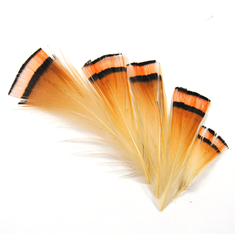 Bộ 50 Tự Nhiên Màu Vàng Gà Lôi - đánh giá và giá Fishing Equipment Brands
